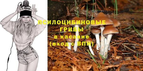 мет Абинск