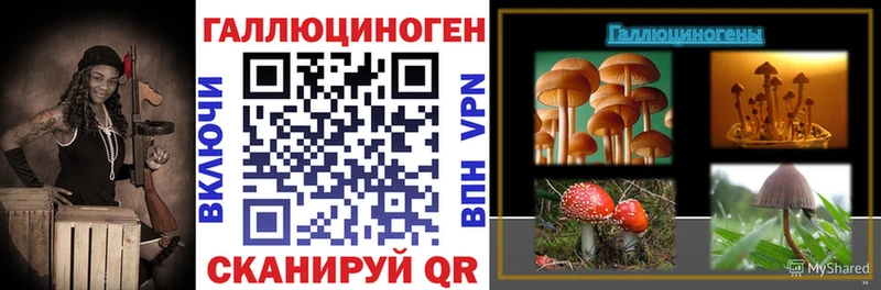 Псилоцибиновые грибы Psilocybe  Нальчик 