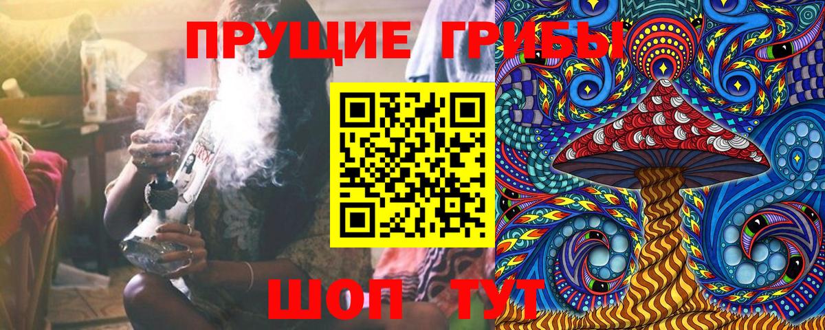 Псилоцибиновые грибы Psilocybine cubensis  Вход с VPN  Нальчик 