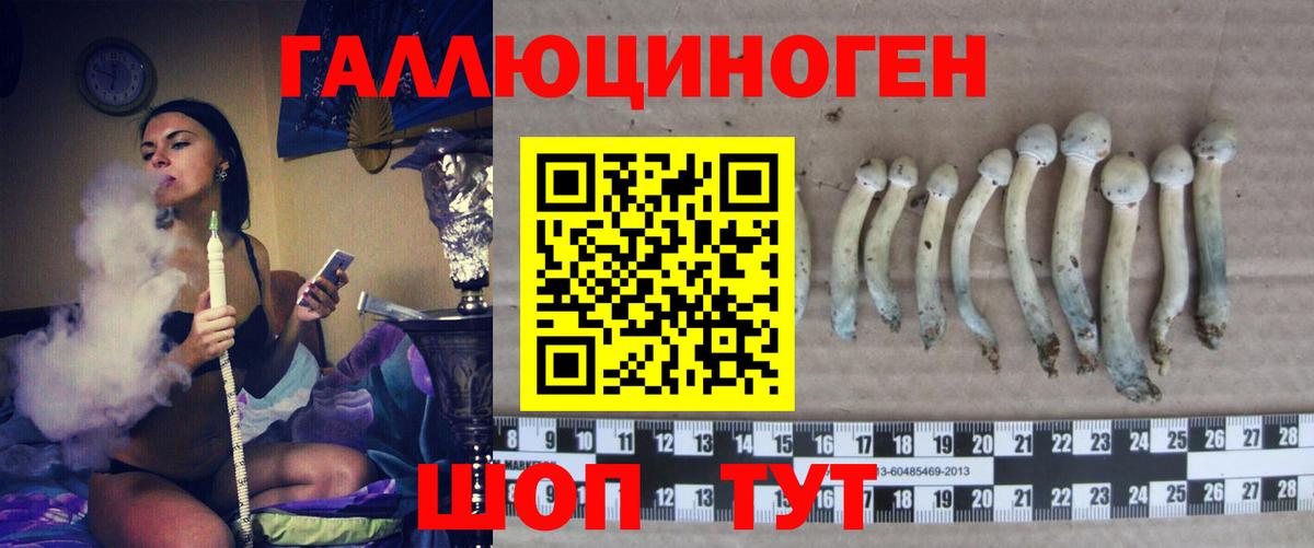 Псилоцибиновые грибы GOLDEN TEACHER Нальчик