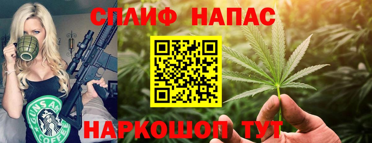 Нальчик  МАРИХУАНА сатива  Каннабис сатива  Вход с VPN  Марихуана конопля 